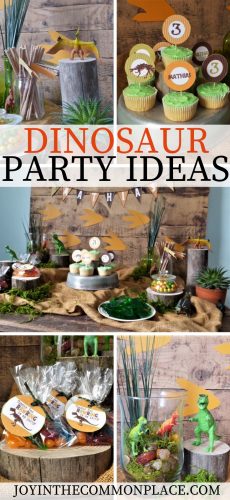 Rustic Dinosaur Party Ideas