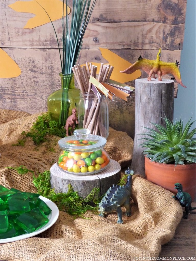Rustic Dinosaur Birthday Party