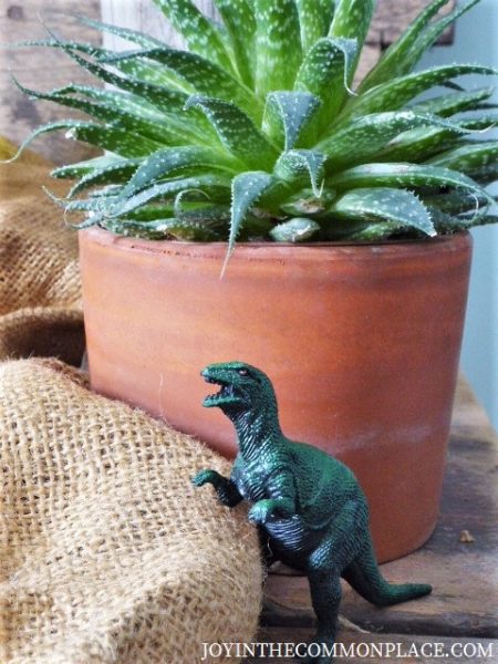 Rustic Dinosaur Birthday Party