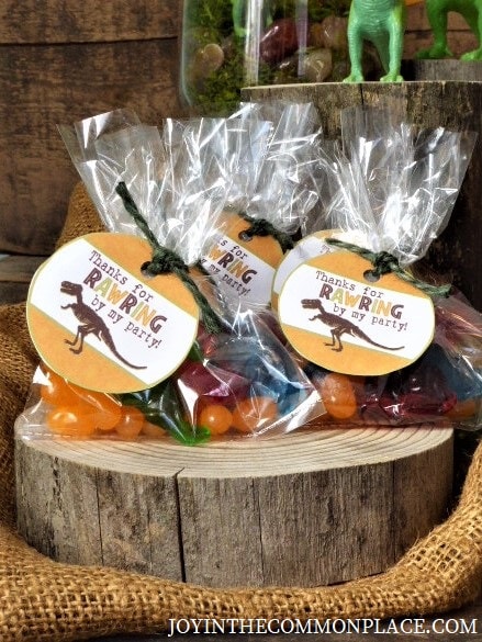 Rustic Dinosaur Birthday Party