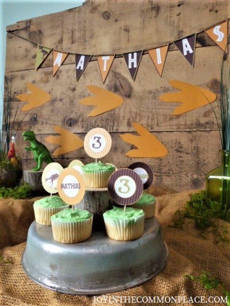 Rustic Dinosaur Birthday Party
