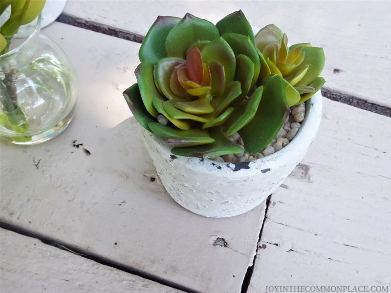 Silk Plants Direct Product Review of Potted Succulents