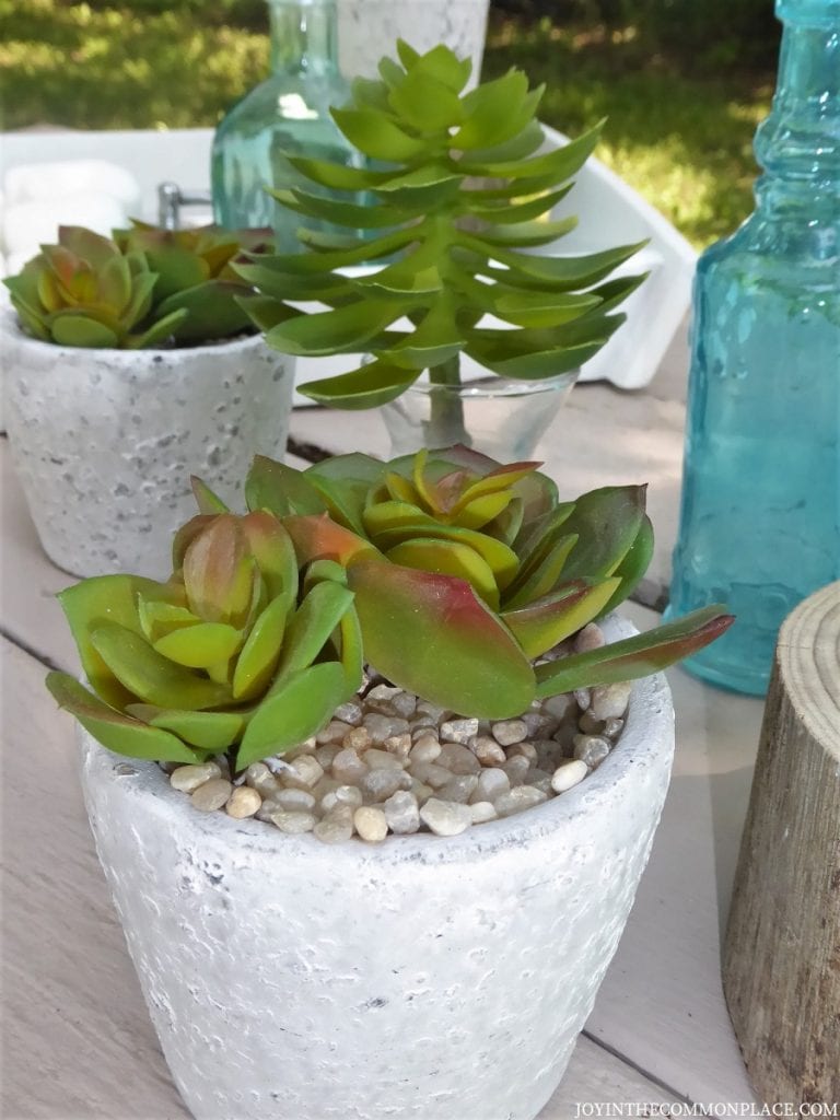 Silk Plants Direct Product Review of Potted Succulents