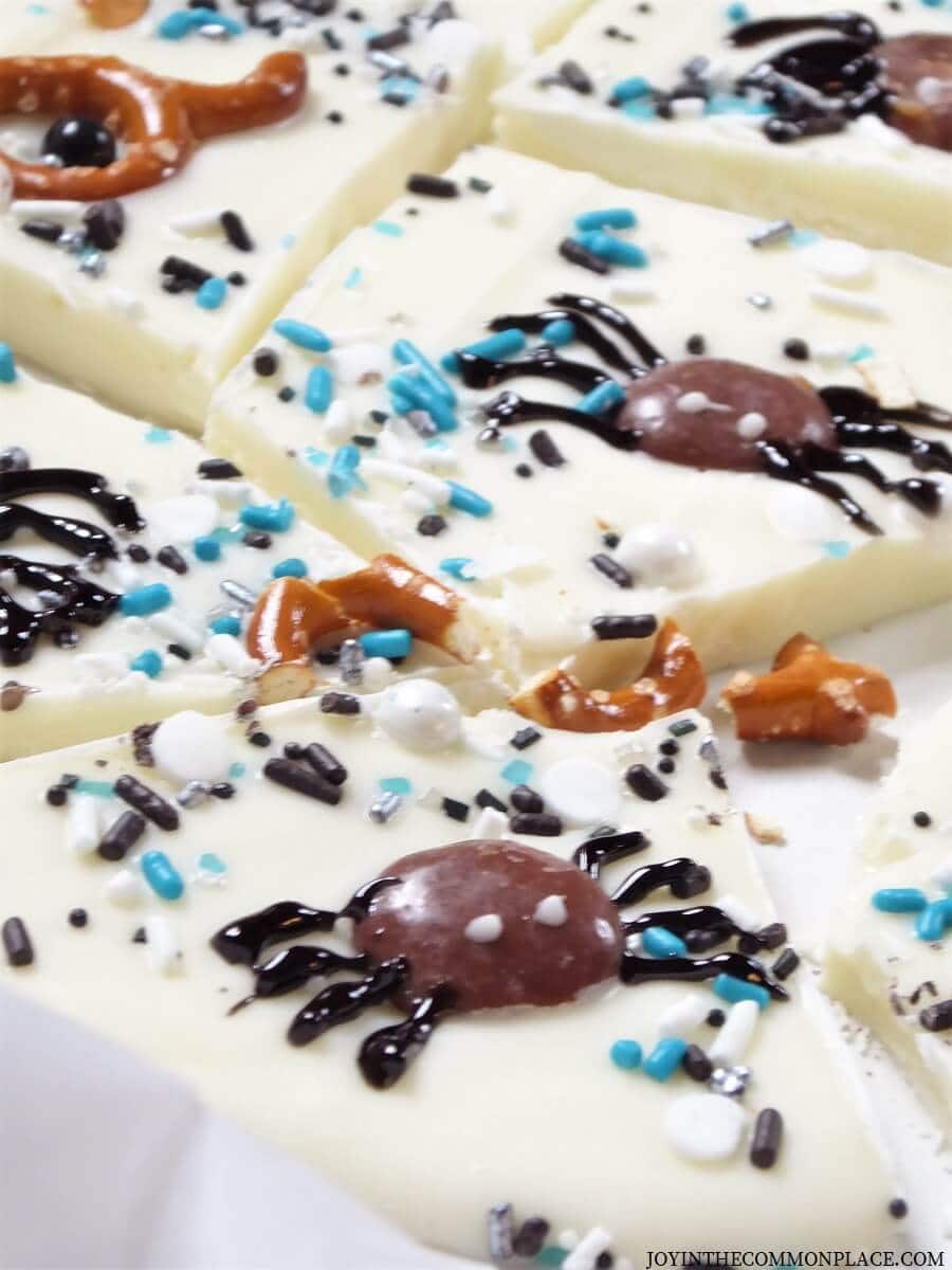 Halloween Spider Bark